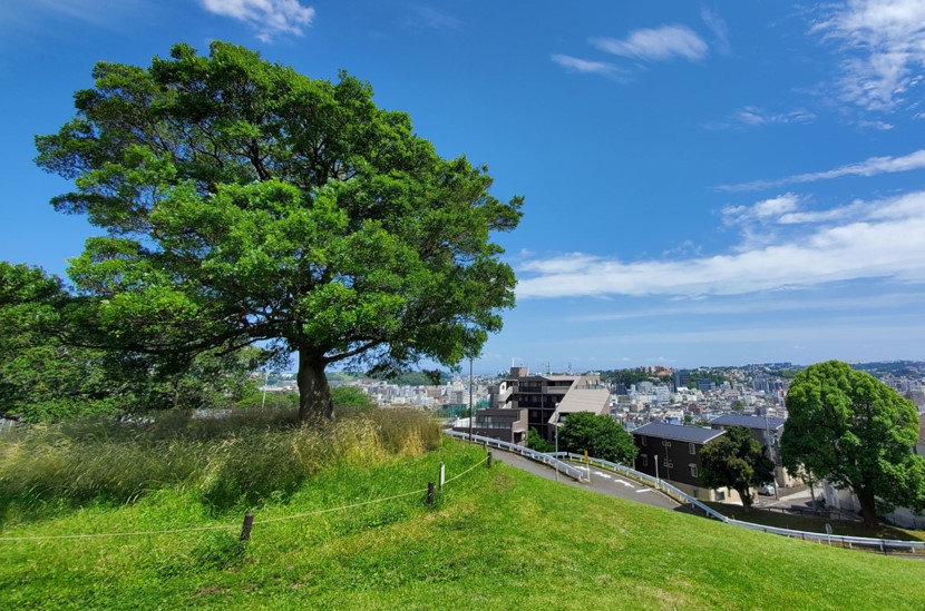 清水が丘公園