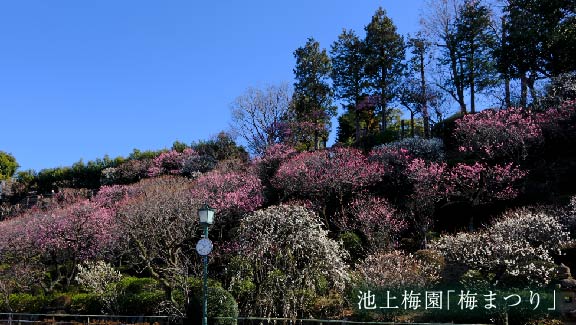 img_location_umematsuri