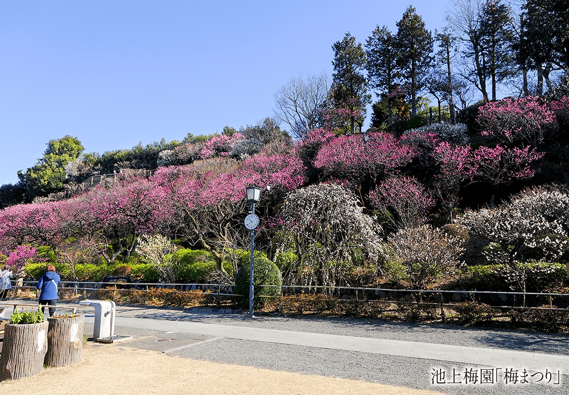 池上梅園