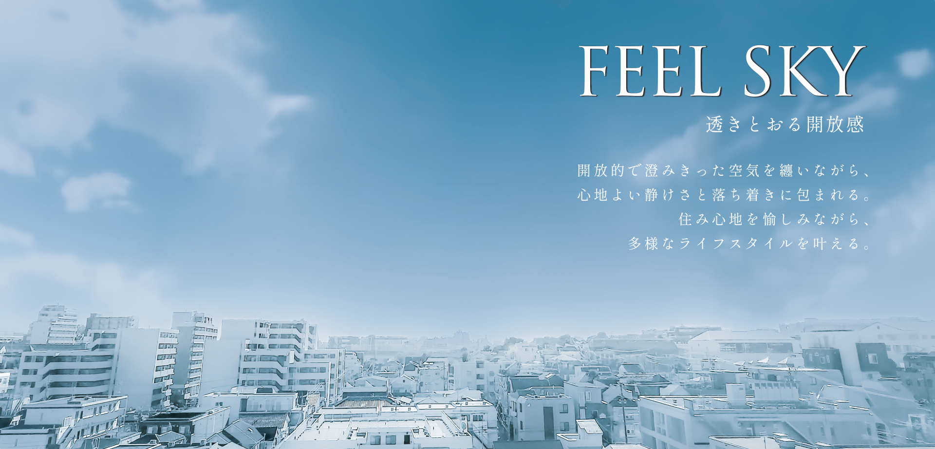 FEEL SKY