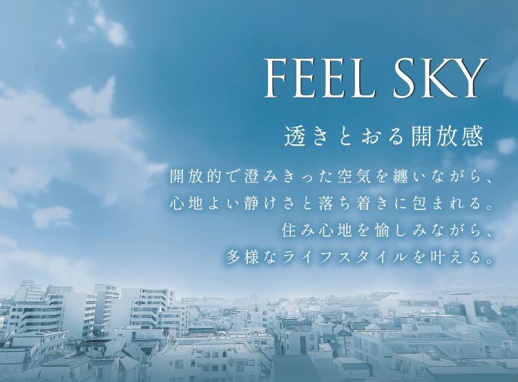 FEEL SKY