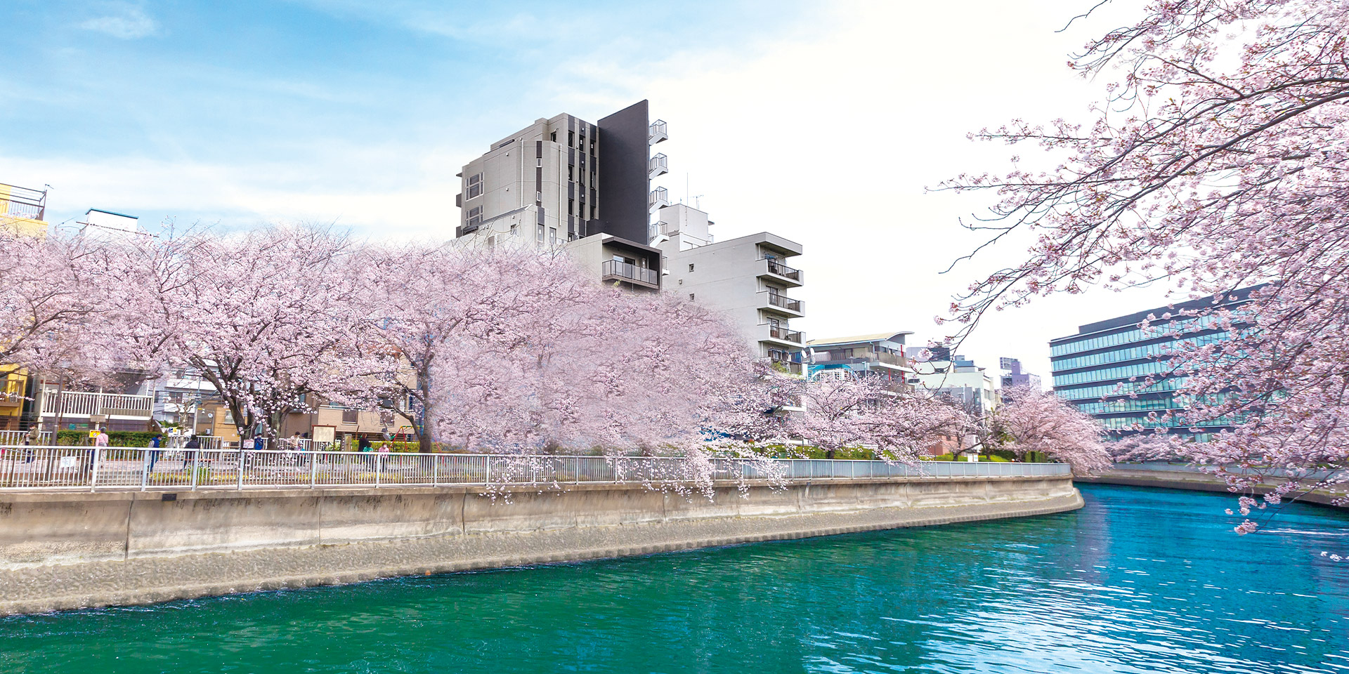 SAKURA