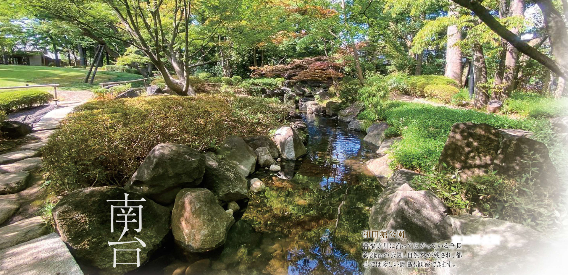 南台　和田堀公園　善福寺川に沿って広がっている全長約2kmの公園。自然林が残され、都心では珍しい野鳥も観察できます。