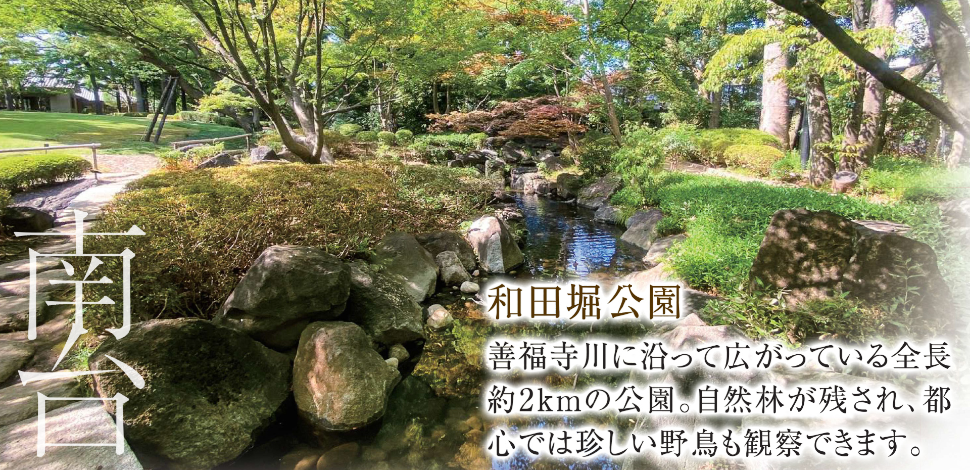 南台　和田堀公園　善福寺川に沿って広がっている全長約2kmの公園。自然林が残され、都心では珍しい野鳥も観察できます。