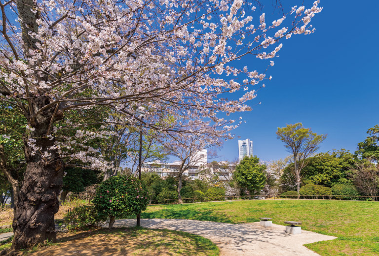 野毛山公園