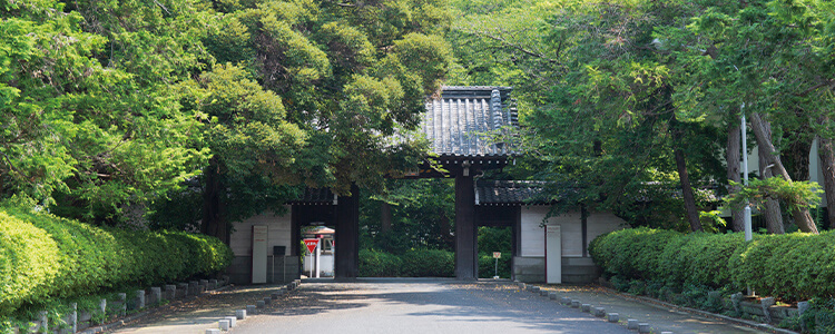 聖心女子大学へ乗車10分